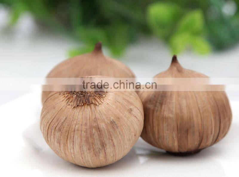Super anti-oxidant Japanese fermented solo clove black garlic
