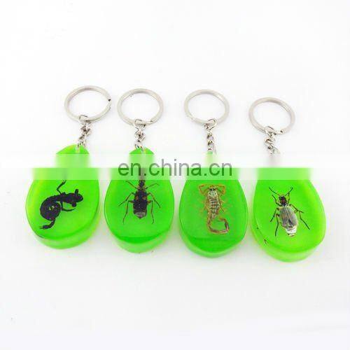 Luminous Real Insects Amber Keychain with Scorpion