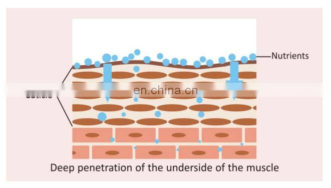New multi-function beauty massage tool portable ultrasonic electric ion facial massager