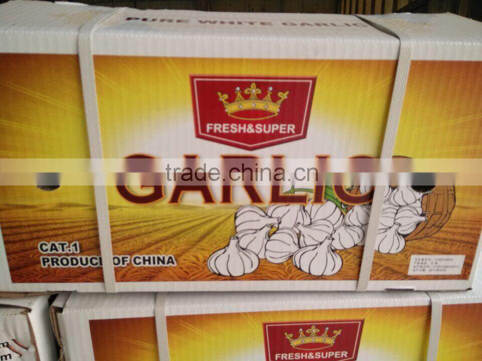 4.5cm pure white garlic China export garlic 10kg carton packing