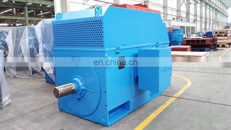 11KV high voltage three phase induction motor