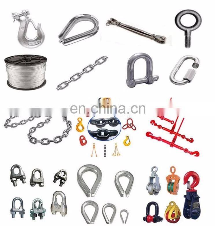 Wholesale Ship Lifting Eye Slip Chain Hook with Latch