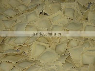 Professional Ravioli and pasta maker Machine