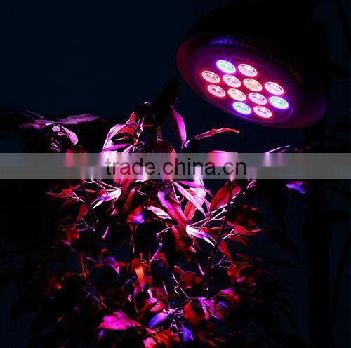 E27 12W Led Grow Light Red Blue White 3 Bands E27 Socket LED Plant Growing Lights for Hydroponic Gardens