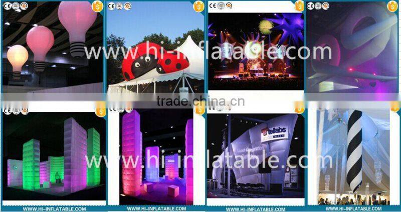 2015 new inflatable cartoon,inflatable insect,inflatable ladybird