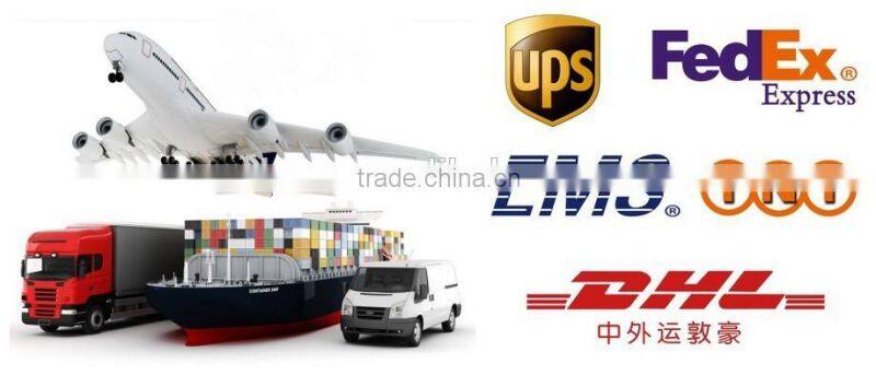 Stainless Steel Mini Charcoal Rotisserie BBQ Grill For Party