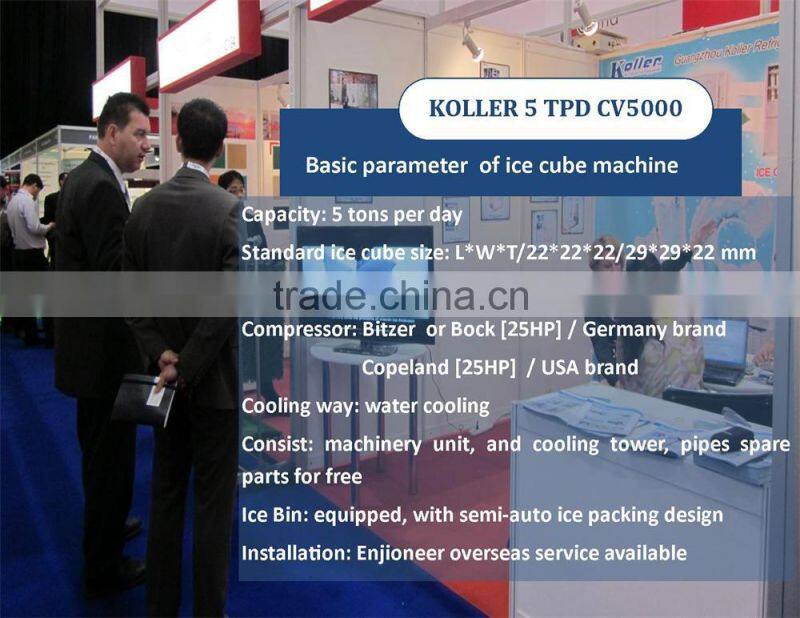 5000KG daily capacity CE Approved Cube Ice Machine Packing System