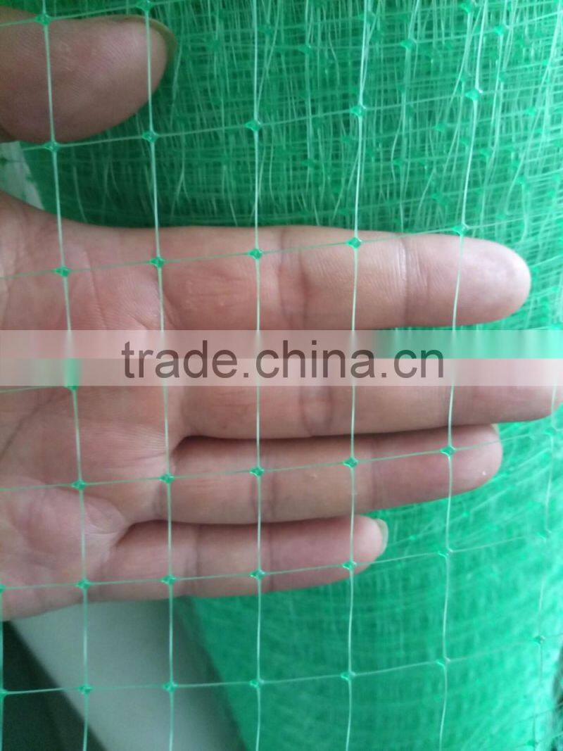 PP anti-bird net(professional factory,reasonable price with high quality)