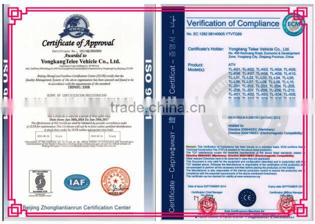 China Zhejiang yongkang Telee vehicle 250 go kart