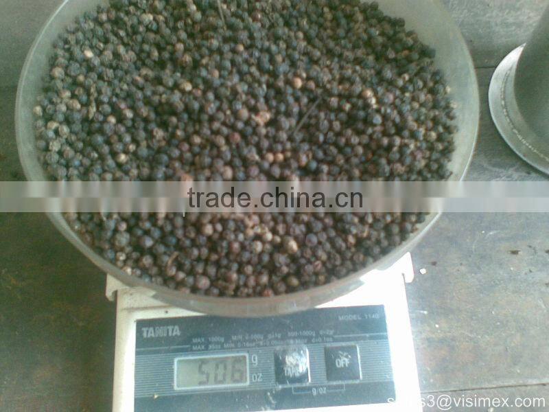 VIETNAM BLACK PEPPER FAQ/HIGH QUALITY