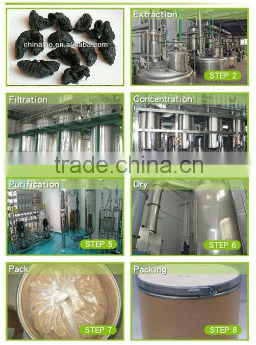 GMP manufacturer supply high quality and natural Garcinia Cambogia Extract Powder 50% 60% HCA