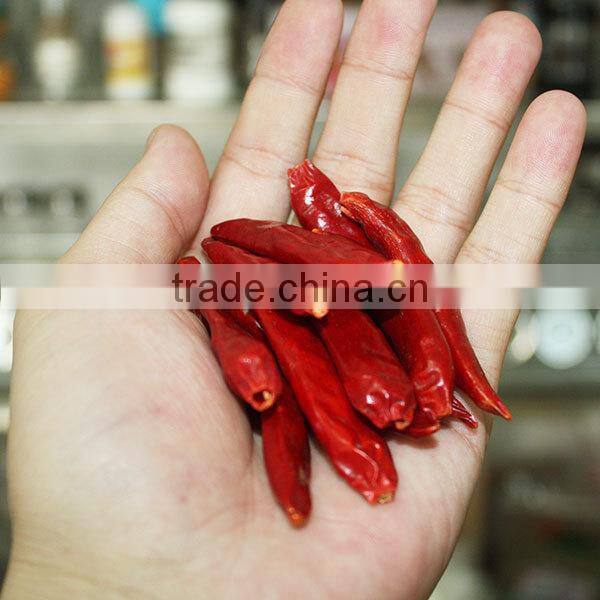 red chilies dry