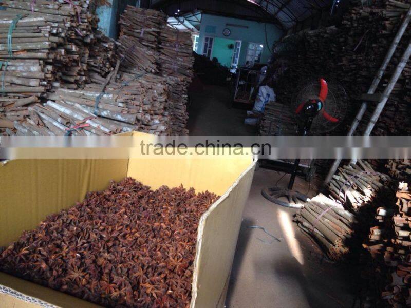 VIETNAM BEST QUALITY AUTUMN STAR ANISE