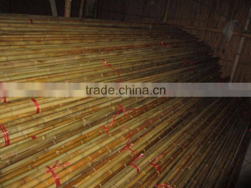 Diameter 6/8 mm up bamboo/ Vietnam Bamboo Pole
