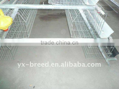 20000 Layer Farm Equipment large scale automatic project