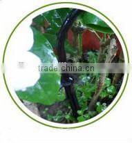 iLOT 3 Way Rotate Watering Spike, Rotate Plant Watering system