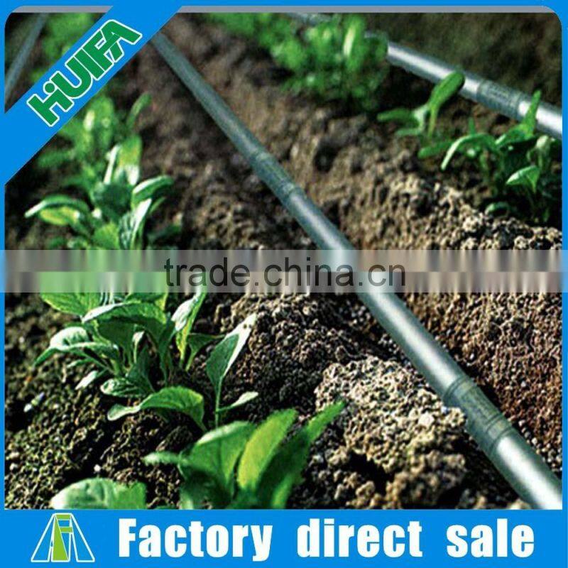 Large Multi-span Agricultural Greenhouse for Sale