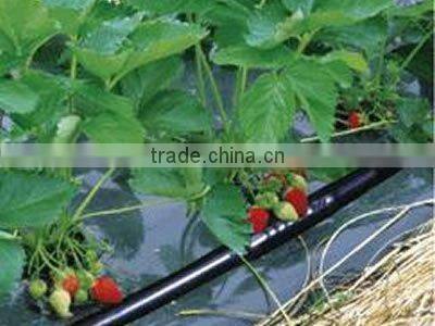 SJ series inlaid cylindrical emitter drip irrigation pipe machine plant