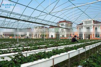 long life span polycarbonate greenhouse roofing