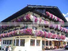 2016 self watering rectangular planter box different types flower pots