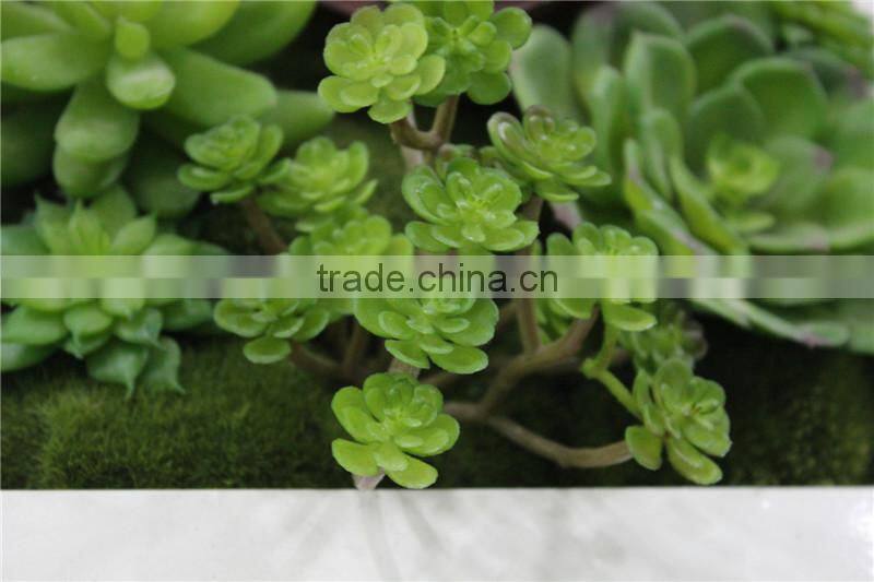 for home garden tiles deco 30*30*7cm paint color indoor artificial succlent boutique plant wall laminate combinations Ejq10 1201