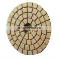 Fiexble polishing pads and backer