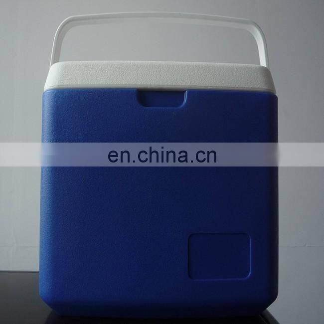 10L Car Cooler/Warmer Fridge Plastic Box for Picnic