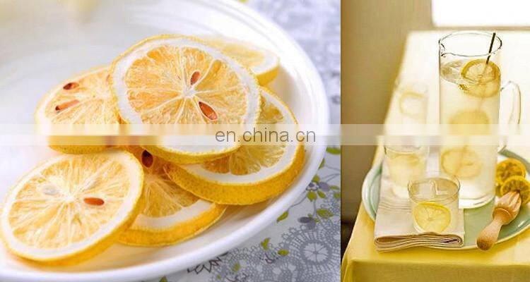 Industrial vacuum freeze dry machine for all kinds of product