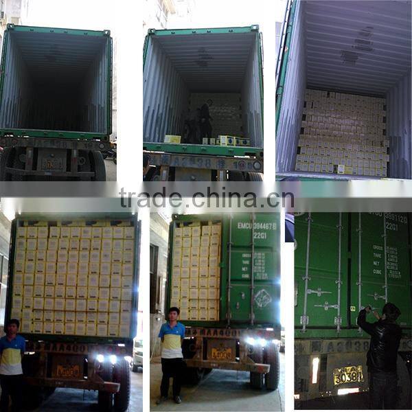 STC Series Three-phase A.C. Synchronous Generator Most Popular China Supplier