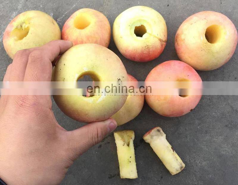 Apple Peach Core Remove Machine/Fruit Pitting Machine Cherry Corer