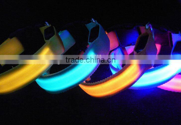 Pure Color Double Side Exposure Flat Optical Fibre Led Pet Dog Collar