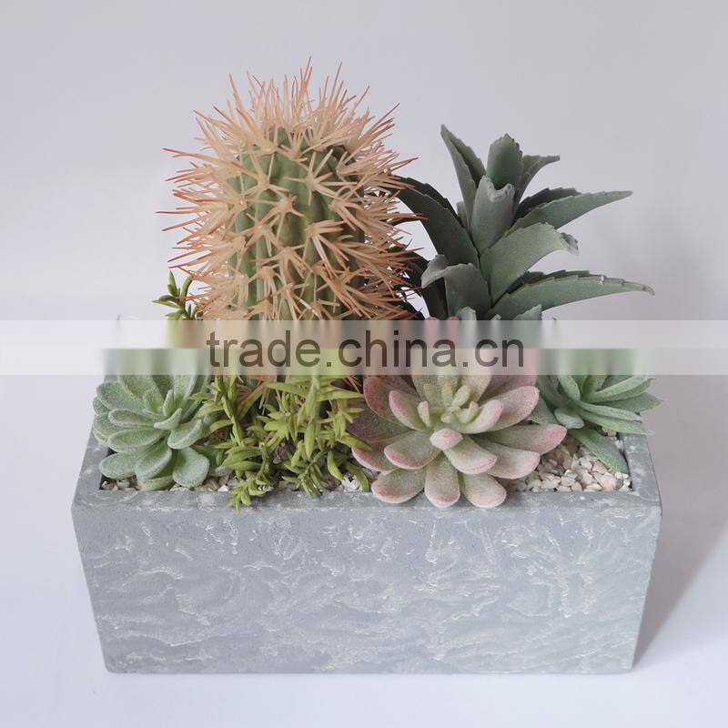 The Best Selling Combine Green Plant