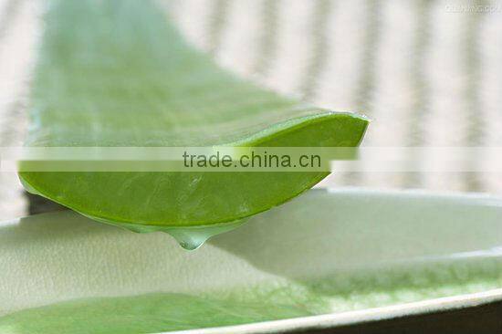 Natural GMP hot sale aloe emodin aloe vera extract