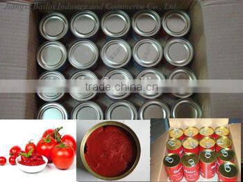 Hot sell and high concetrated canned tomato paste to Africa,Middle East