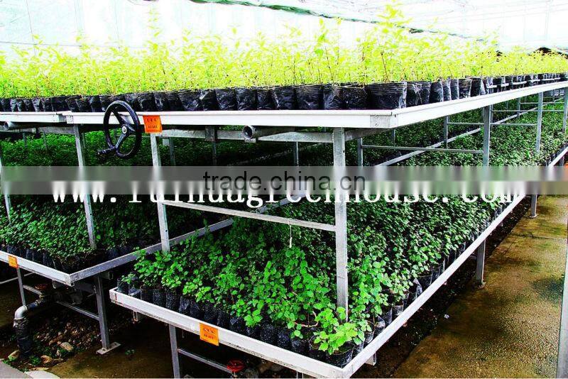 Agricultural Greenhouse Mobile Bench