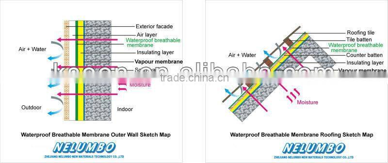 Waterproof Membrane for Roof Building Membrane PE Membrane for Roof