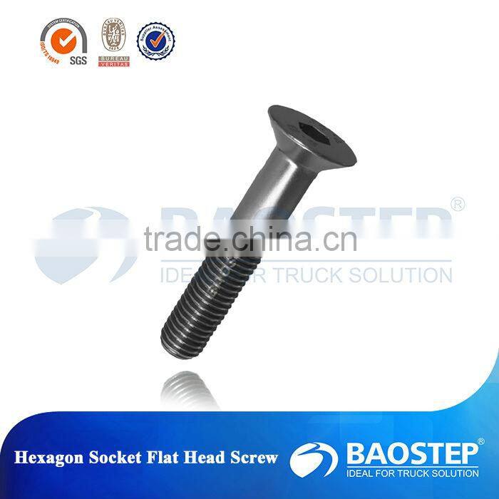 high tensile hot galvanizing thru bolt