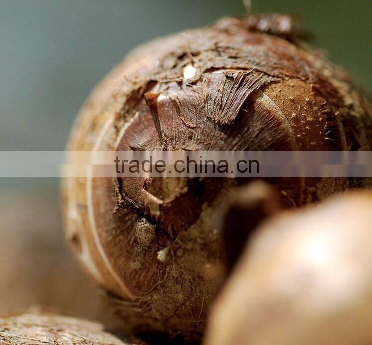 Shandong fresh taro price