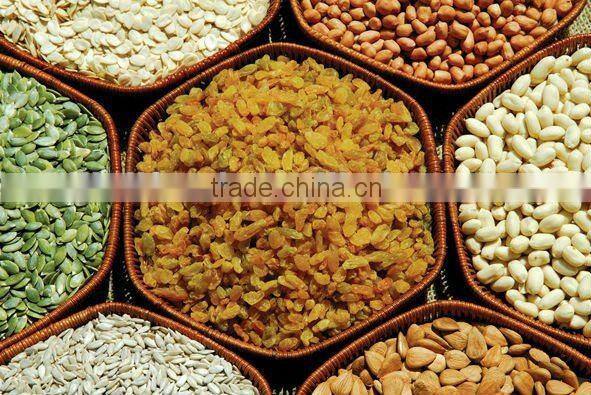 xinjiang raisins sultana raisins golden raisin