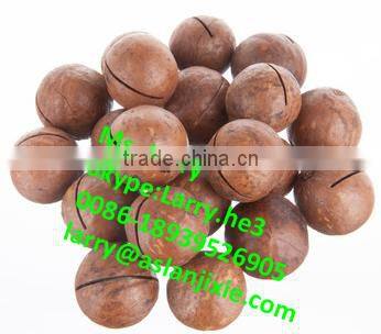 macadamia nut cracker machine/macadamia nut cracking machine