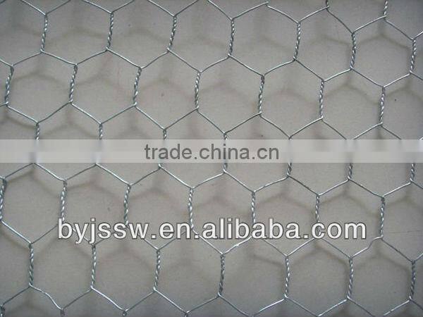 PVC Chicken Coop Galvanized Wire Mesh