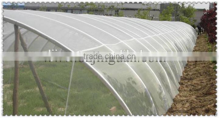 Insect mesh net for agricultural protection