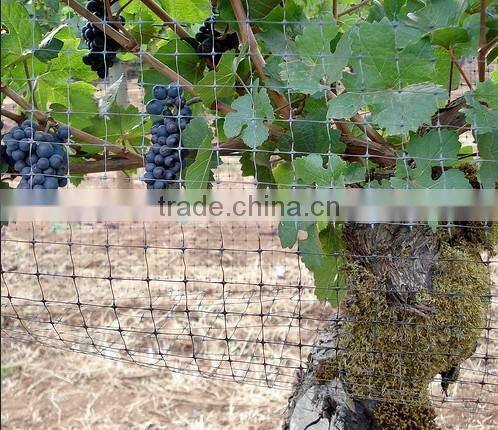 width 2m, length 50m anti bird net