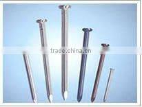 hot-galvanized flat head iron wire nails