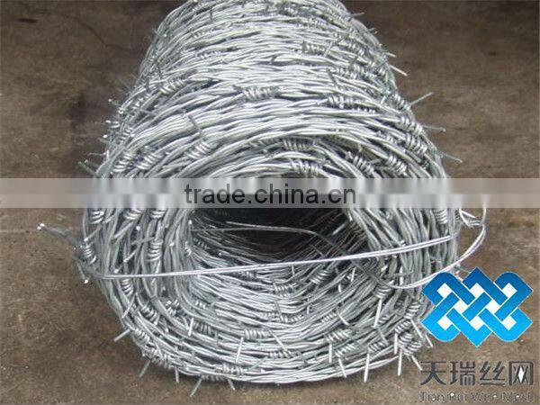 barbed wire /stainless steel razor barbed wire/flat razor wire
