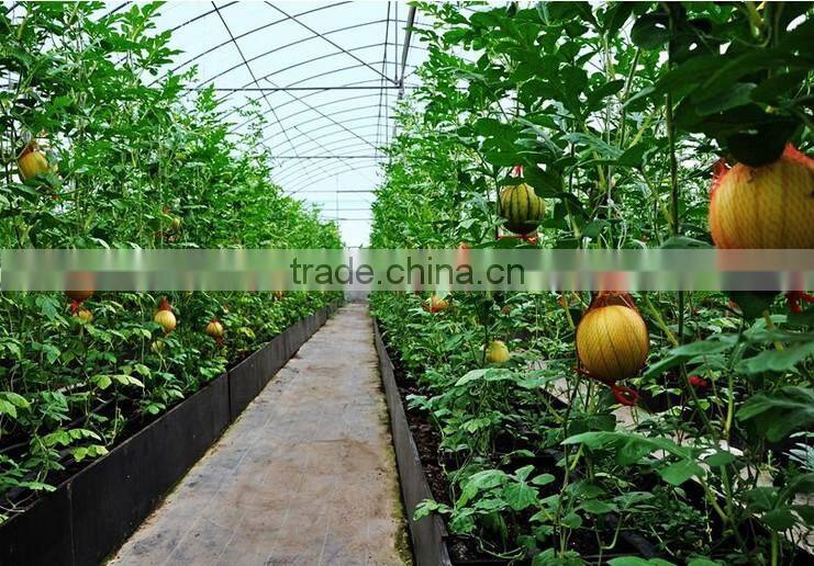 Good daylighting and UV resistance vegetables greenhouse,fruit greenhouse,fiberglass greenhouse
