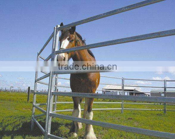 galvanized livestock fence