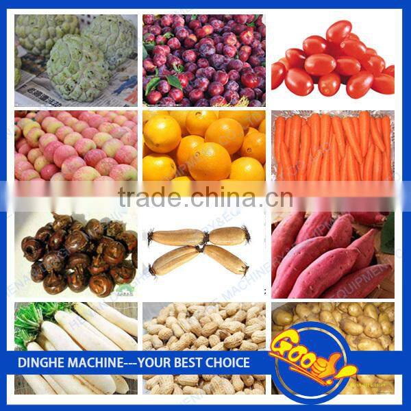 High Quality Ginger Washer and Peeler