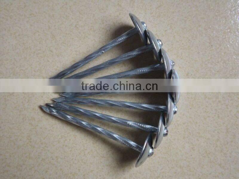 Hot sales! China factory supply high quality galvanized umbrella head roofing nails