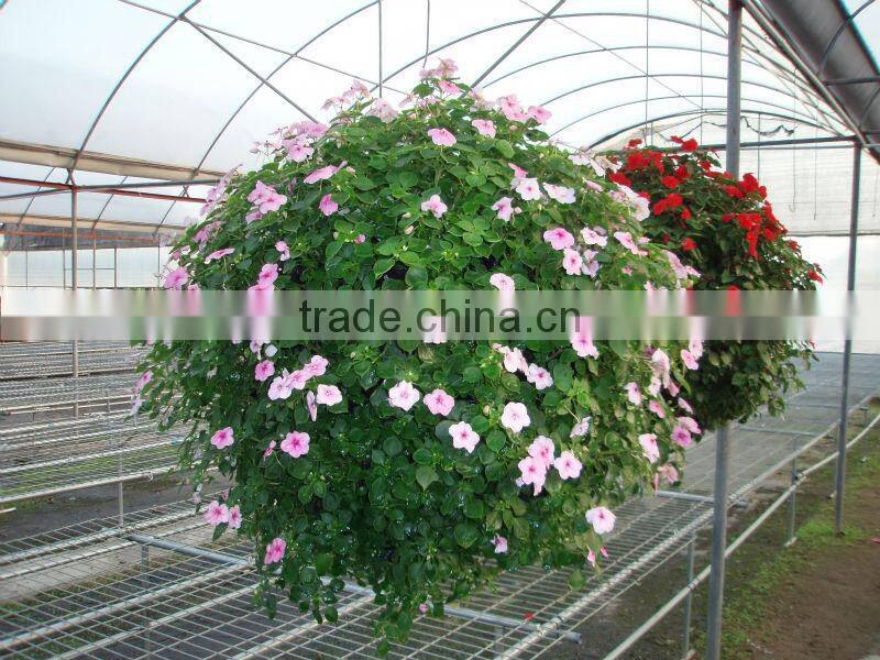 SOL 2015 flower ball pots plastic green planter